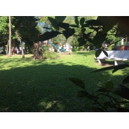 Paseo a la Quinta del Colegio Medico